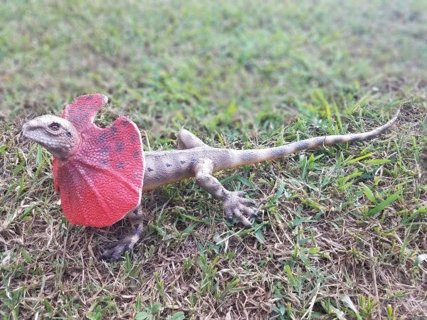 Игрушка Lanka Novelties Ящерица плащеносная 55 см 21550 