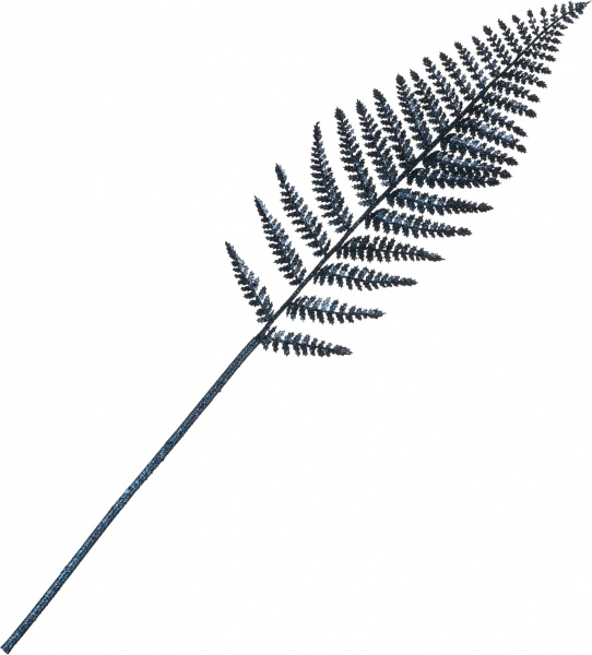 Гілочка декоративна синя папороть 80 см