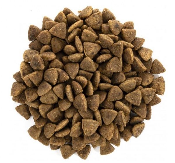 Корм Brit Care GF Adult курка та індичка 2 кг 171298