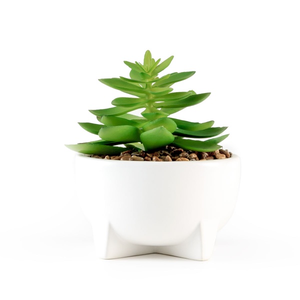 Растение декоративное DH-FLOWERS-14 S GREEN/WHITE MVM