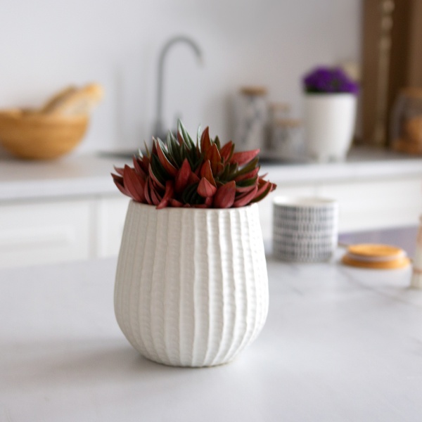 Кашпо керамічне МВМ DH-FLOWERS-25 M WHITE 16,5 см Білий 