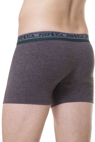 Трусы-шорты мужские KOSTA 0082-6 XL серый