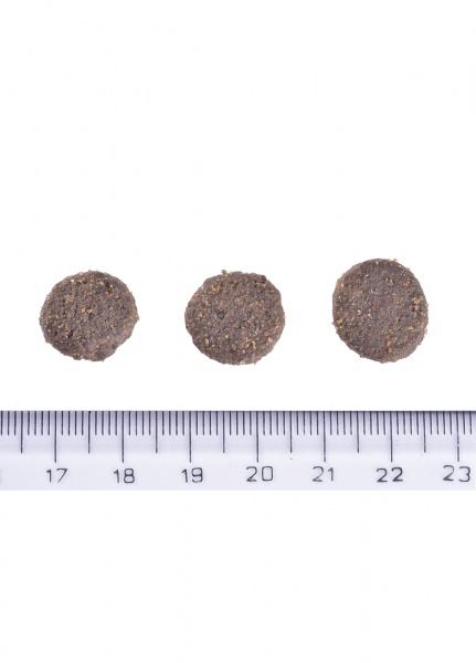 Корм сухой для всех пород Brit Care Hypoallergenic Dog Show Champion с лососем 12 кг