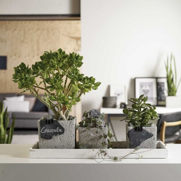 Кашпо керамічне Soendgen Latina Concrete квадратний 24 л світло-сірий 