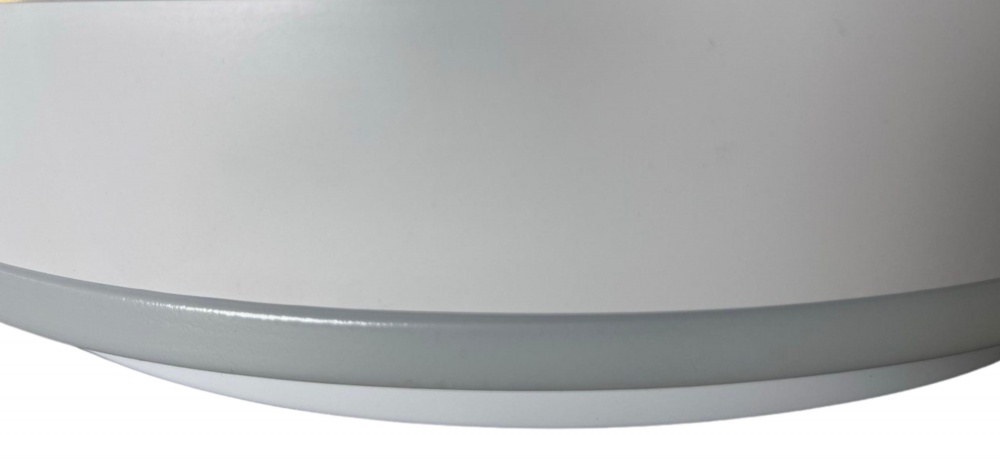 Світильник стельовий Sensio LED Isa 48 Вт білий 3000-6500 К AR-N250301394