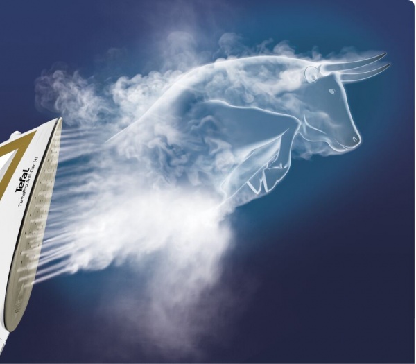 Праска Tefal TurboPro Anti Calc FV5698 