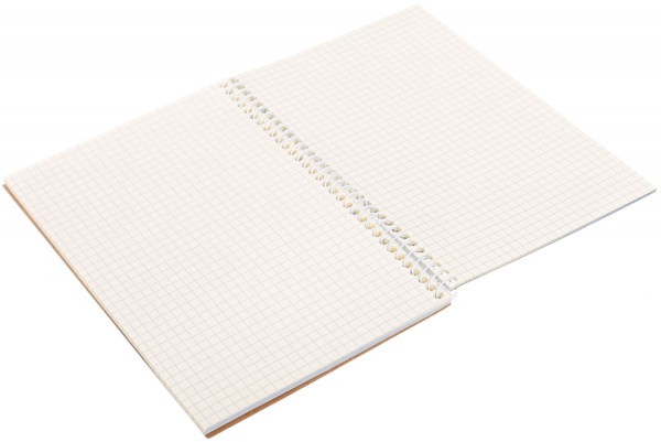 Тетрадь школьная Спираль A5 60 листов в клеточку