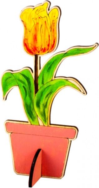 Раскраска Зірка Тюльпан