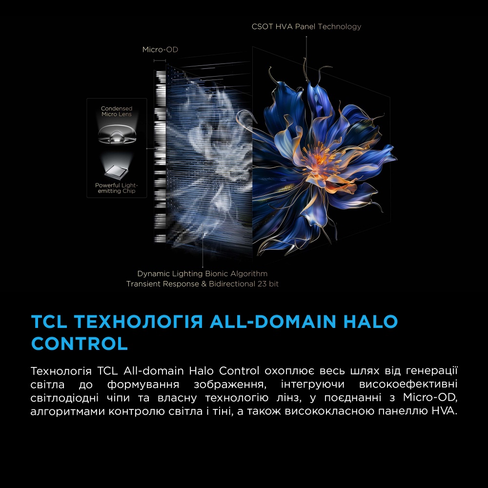 Телевизор TCL 55C6KS