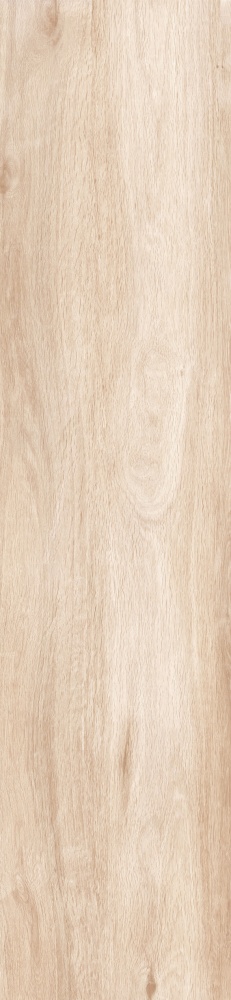 Плитка Allore Group Tahoe Beige F PR R Mat 30х120 см