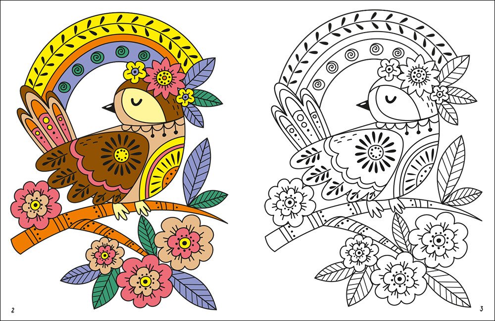 Книга «Фарбованка-мальованка Чарозвірі» 9789667616793