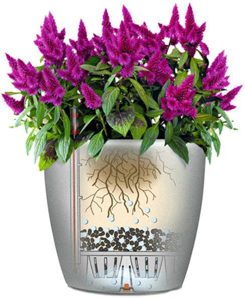 Вазон пластиковый Lechuza Classico Premium LS 28 квадратный 19,9л коричневый (16045) 