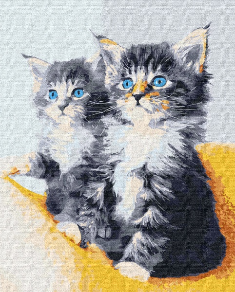 Картина за номерами Блакитноокі кошенята 11617-AC 40х50 см ArtCraft 