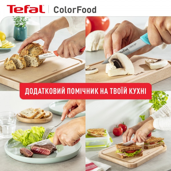 Набор ножей ColorFood 3 предмета K273S304 Tefal