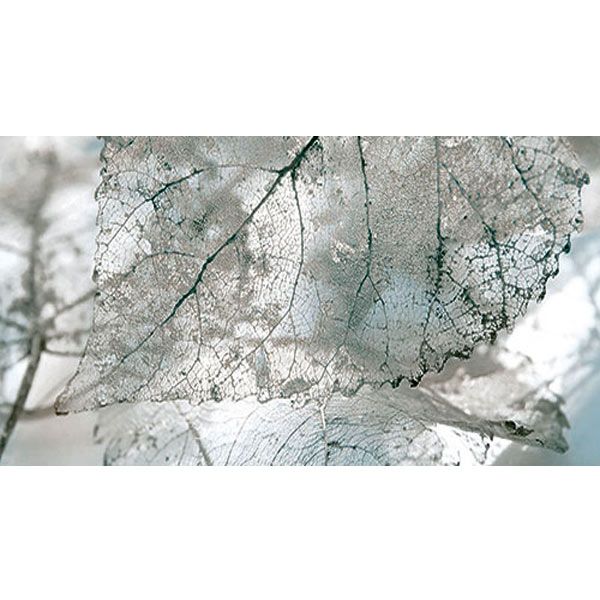 Плитка InterCerama Magia декор сірий Д 61 071-1 23x50 