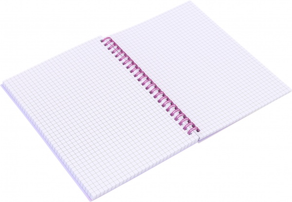 Книга для записей на спирали Котик-ангелочек 80 листов А5