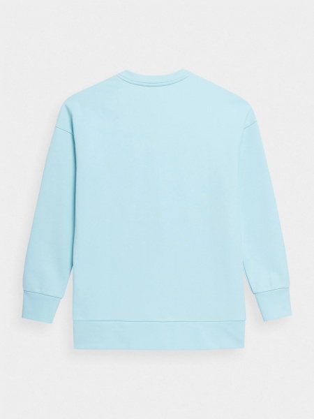 Свитшот 4F AL*4F_SWEATSHIRT 4FSS22TSWSF114-34S р. M голубой