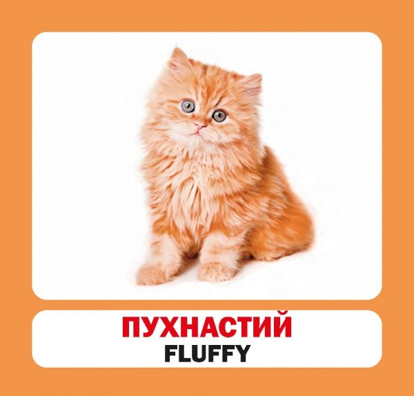 Книга «Навчальний посібник. Прикметники. англ»