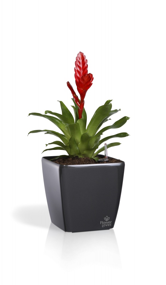 Вазон пластиковый Quadrato 18x18x17 квадратный черный 3 л Plastkon (239860)