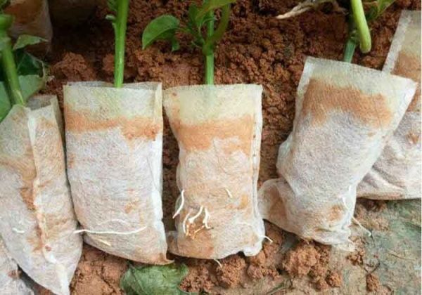 Мешочки для рассады Agrolife 18х20 см 50 шт.