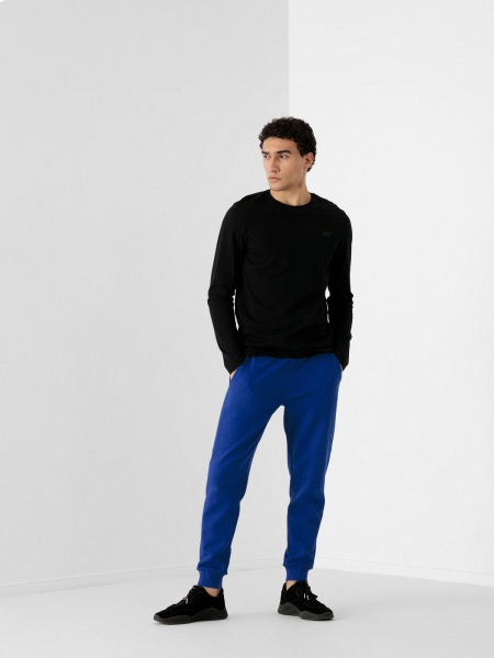 Штани 4F D4L21-SPMD205-31S р. 2XL темно-синій