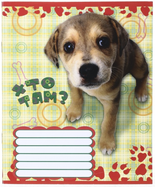 Зошит шкільний 12 аркушів у лінійку дизайн в асортименті Мрії збуваються