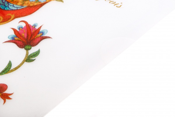 Папка-уголок A4 цветная печать P0142 в ассортименте Bourgeois 