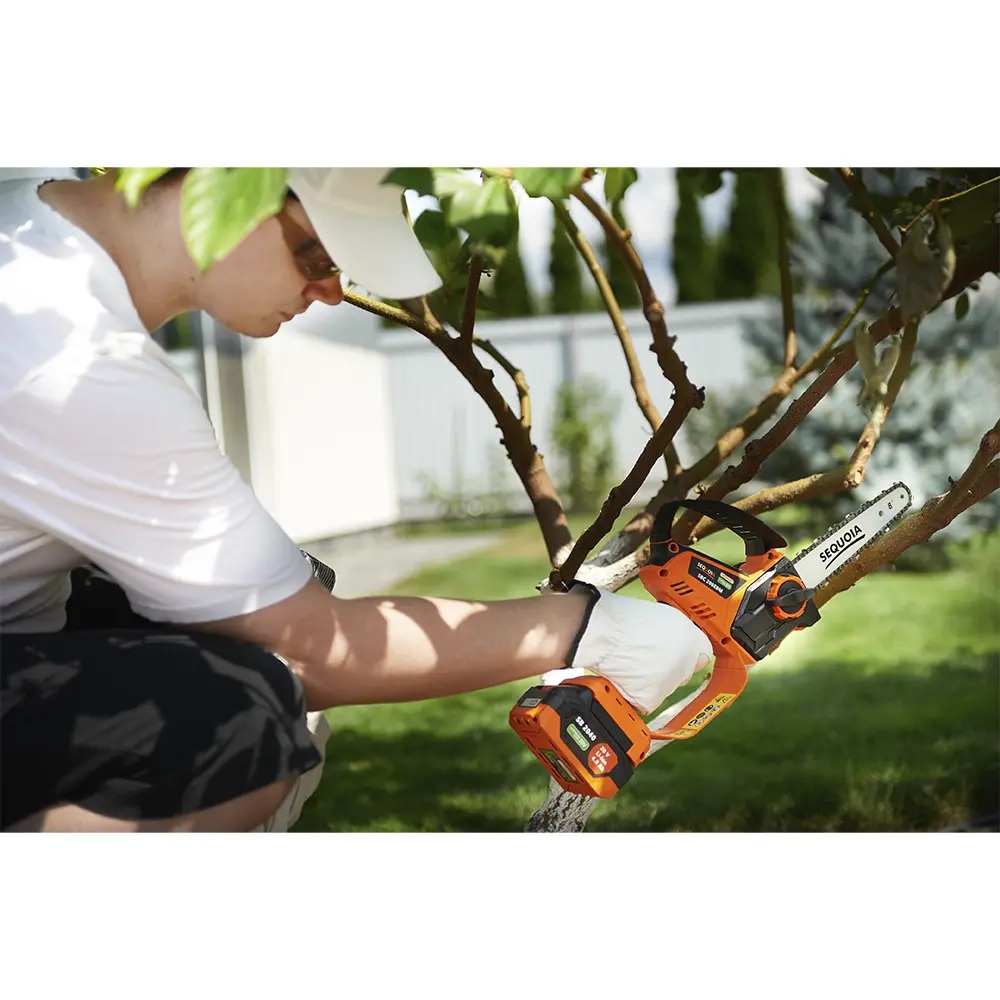 Пила міні акумуляторна SEQUOIA SBC2008BM-EV