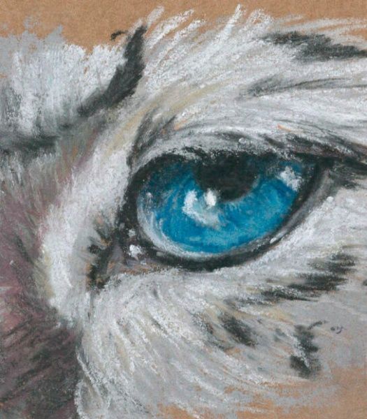 Олівець пастельний Pastel 6 кольорів в блістері Derwent