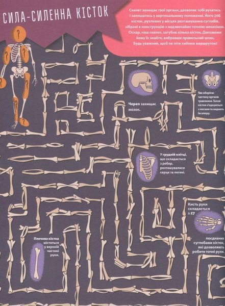 Книга Кристиан Камара «Пізнавальна книжка-гра. Тіло людини» 978-617-739-598-9