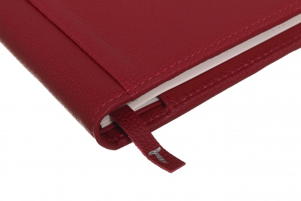 Дневник недатированный Флай красный ТЕКО A4 Е 040-00.62-312260