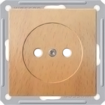 Розетка W-59 RS16-151-8-86 бук