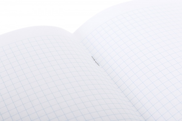 Блокнот А5 48 арк клітинка на скобі Bourgeois