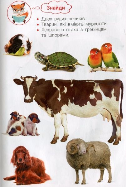 Книга «Фотокнига. Царство тварин. Серія шукайчик. Тв.обкладинка»