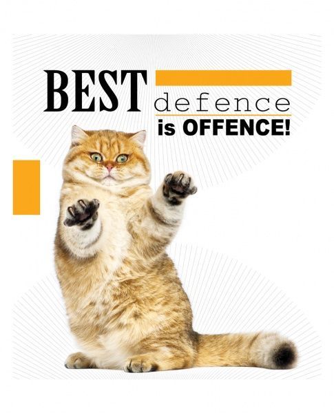 Тетрадь В5 Аnimals 96 л. клетка 2в1 на спирали Мечты сбываются