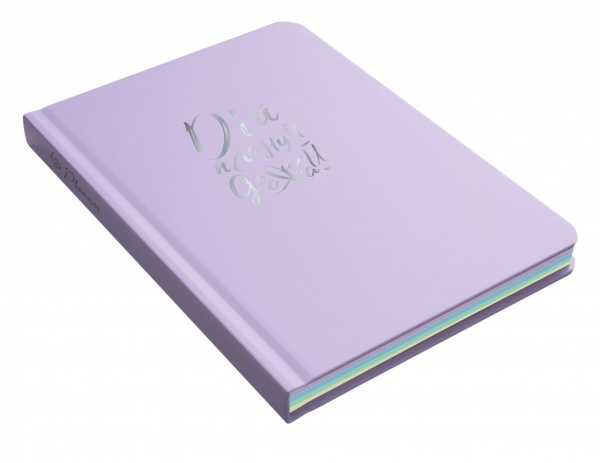 Планувальник недатований бузковий А5 Profiplan