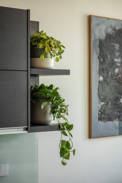 Вазон пластиковий Plastia з піддоном Tolita 16 см круглий 1,3 л бежевий (1707281640) 