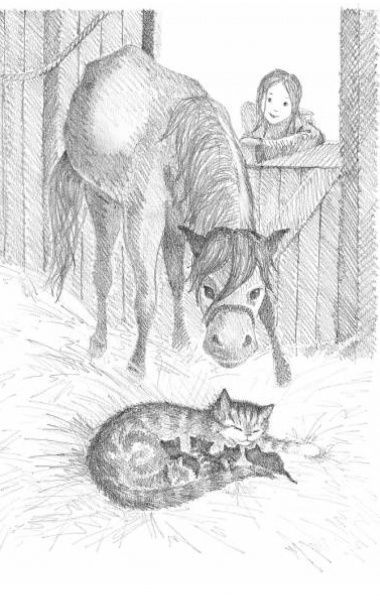 Книга Голлі Вебб «Загублена в снігах, або Пухнасточка» 978-617-7347-41-4