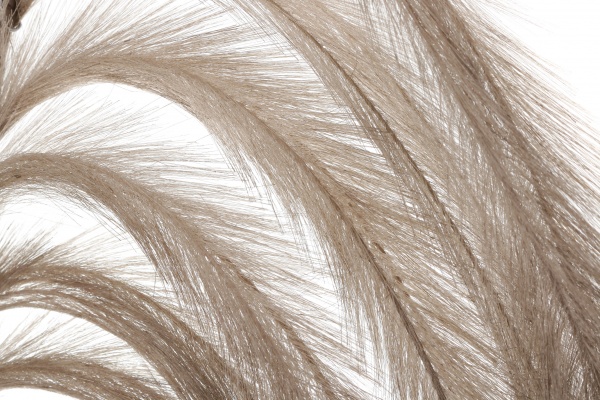 Веточка декоративная 130 см бежевая с перьями YZA000900