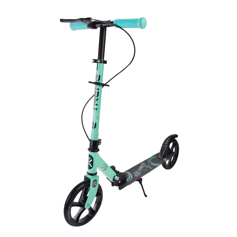 Самокат Shantou городской 2-х колесный зеленый SK2434 Green