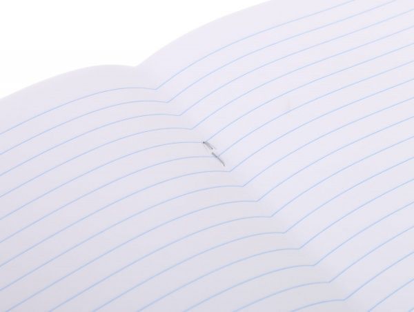 Зошит шкільний Raccoon 12 аркушів лінія