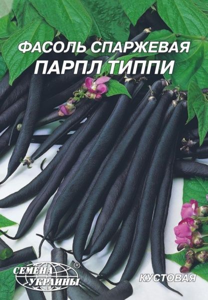 Насіння Семена Украины Квасоля кущова Парпл Тіппі 20г
