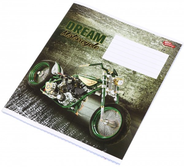 Зошит шкільний 48 аркушів у клітинку в асортименті Мрії збуваються