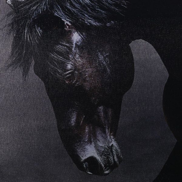 Картина Лошадка 100x75 см Styler EX511 