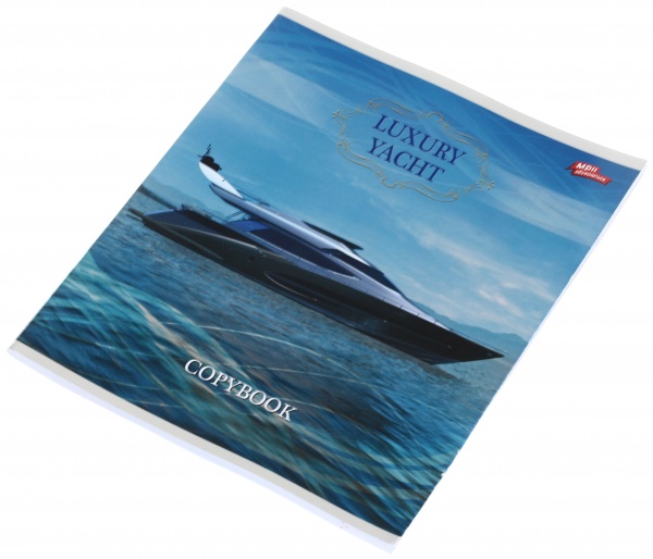 Тетрадь школьная серебро 4 листов в клеточку в ассортименте Мечты сбываются