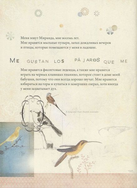 Книга Міранда Хорхе «Книга Амелия» 978-617-7537-23-5