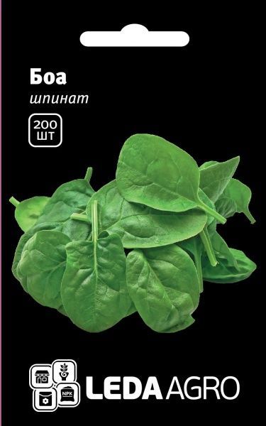 Насіння LedaAgro шпинат Боа 200 шт. (4820119791561)