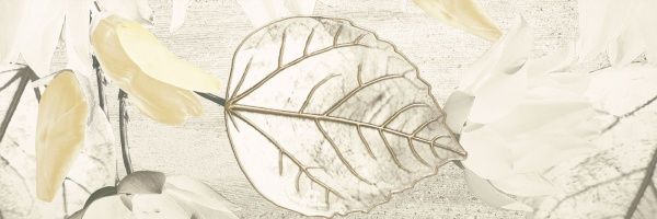 Плитка Ceramika Paradyz MAGNOLIA GRYS INSERTO B 25х75 