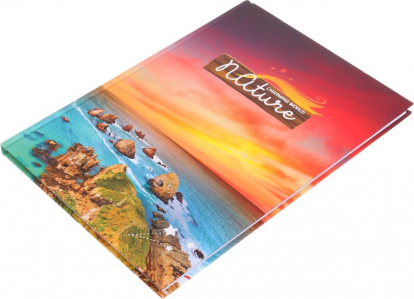 Книга учета Престиж А4 96 листов в ассортименте Аркуш