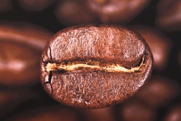 Репродукція 28х28 см AF20070312 Coffee Beans 087 RozenfeldArt 